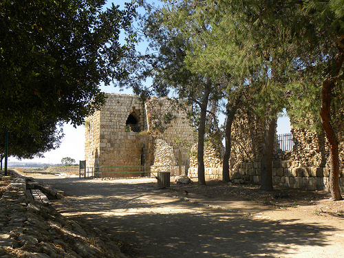 Aphek Tower and Walls